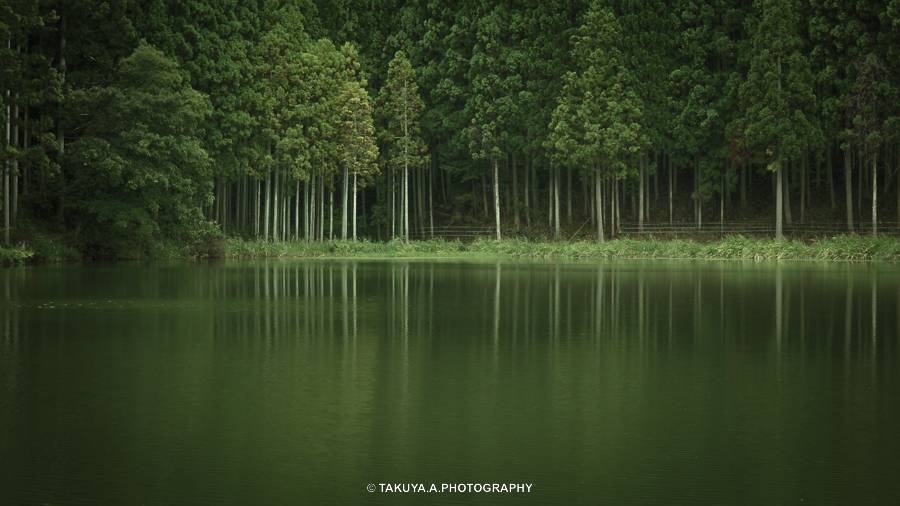 奈良県の絶景 龍王ヶ淵の深緑