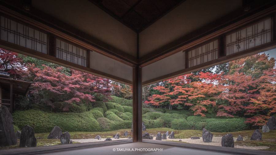 京都府の絶景 光明院の紅葉