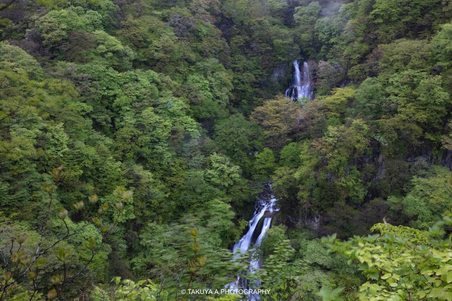 栃木県の絶景 霧降の滝 新緑