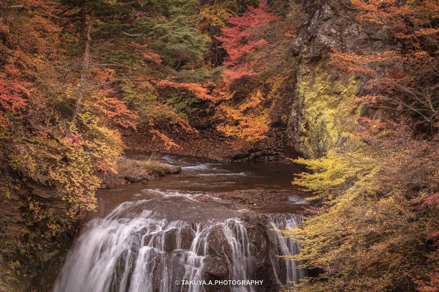 長野県の絶景 王滝の紅葉