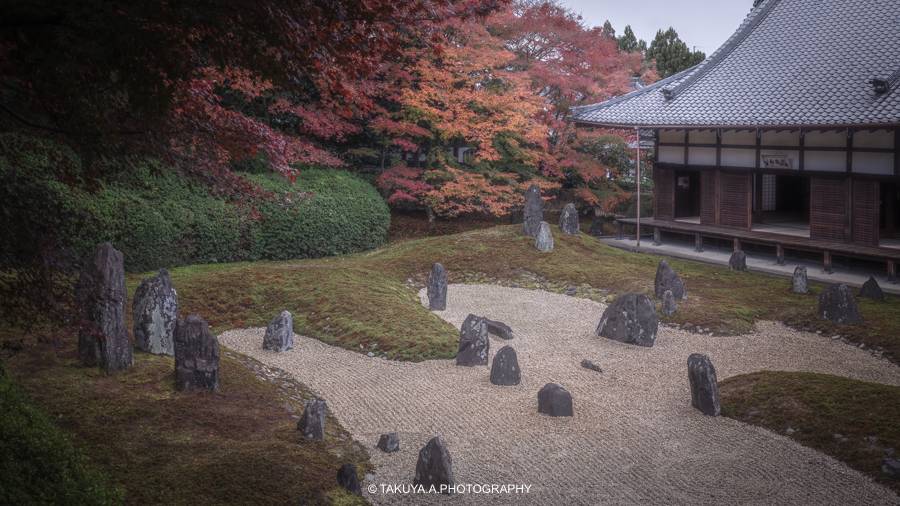 京都府の絶景 光明院の紅葉