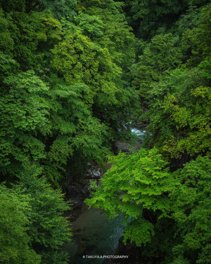岐阜県の絶景 付知峡攻橋の新緑