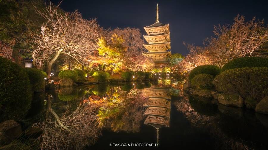 京都府の絶景 東寺の紅葉ライトアップ