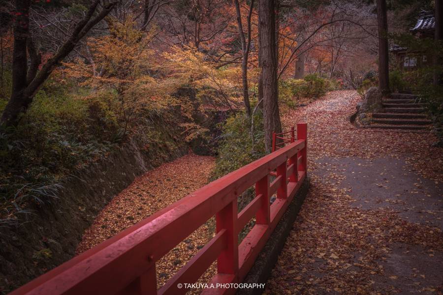 京都府の絶景 神蔵寺の紅葉