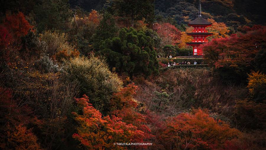 京都府の絶景 清水寺の紅葉