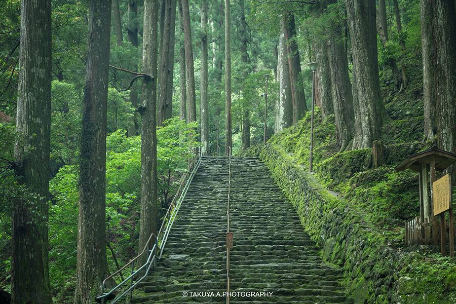 和歌山県の絶景 那智の滝の新緑