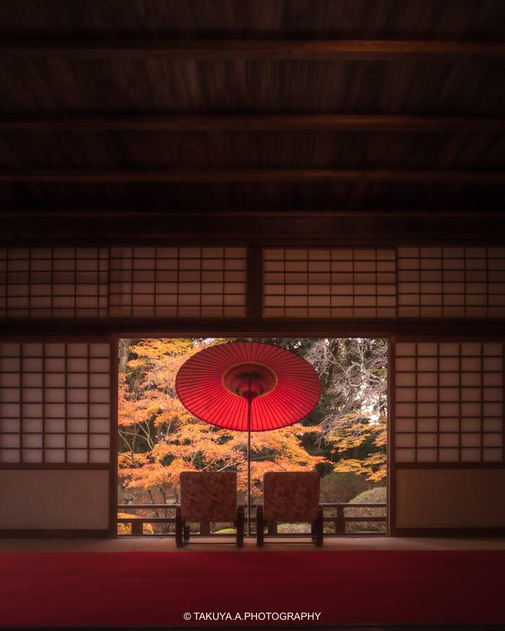 滋賀県の絶景 圓満院の紅葉