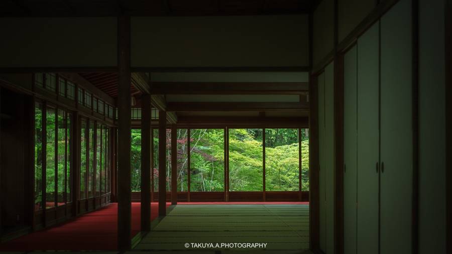 京都府の絶景 天授庵の新緑