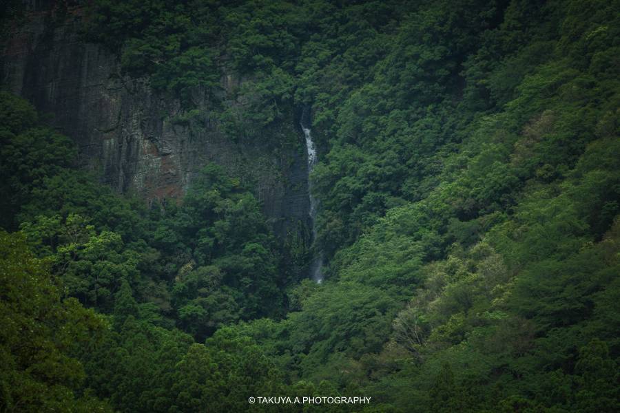 和歌山県の絶景 八草の滝の新緑