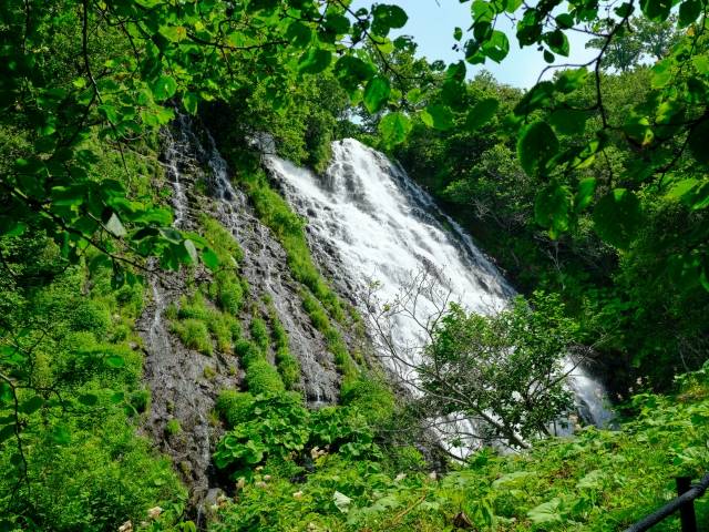 北海道の絶景 オシンコシンの滝