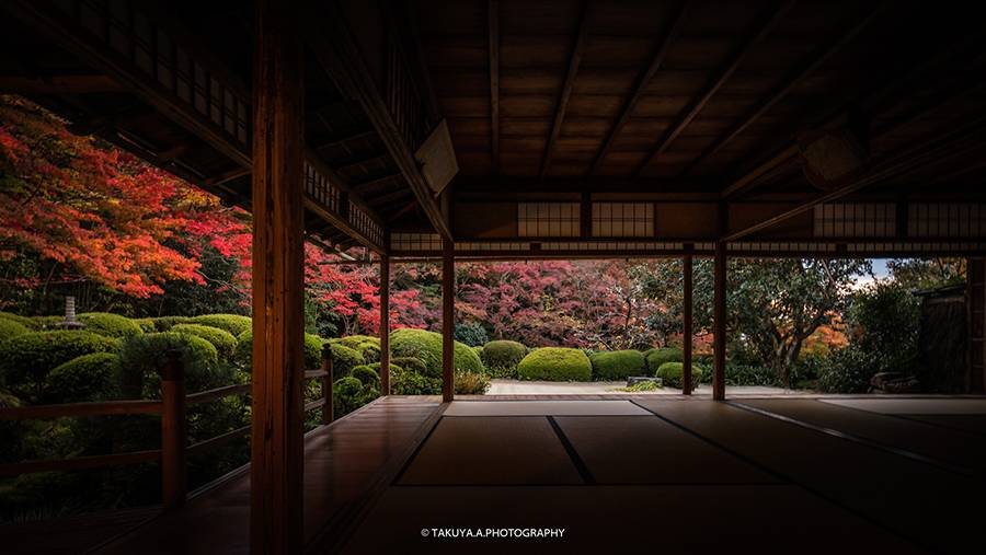 京都府の絶景 詩仙堂の紅葉