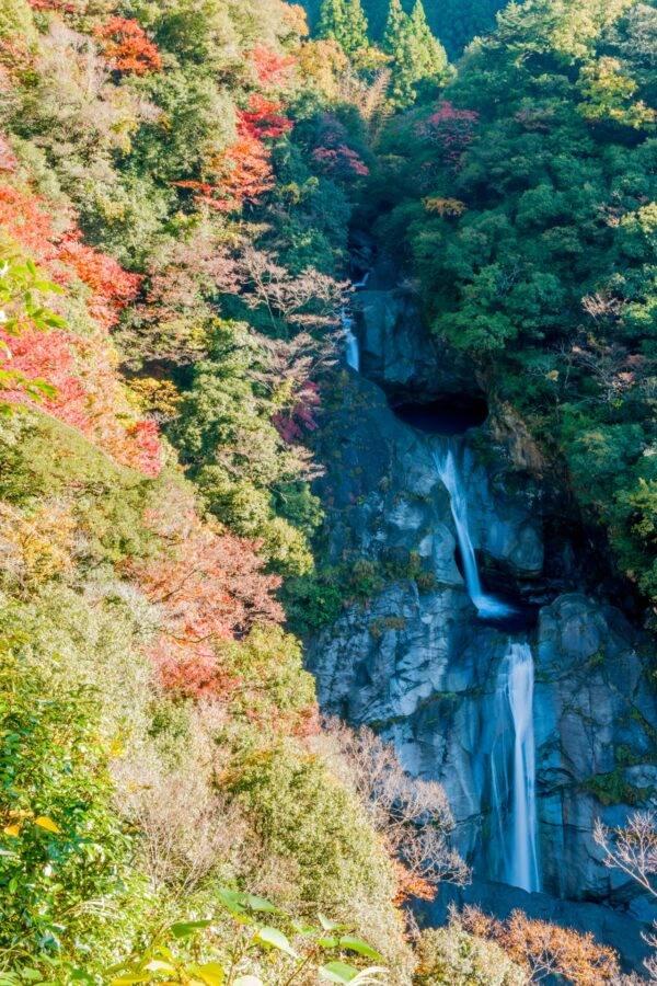高知県の絶景 轟の滝の紅葉