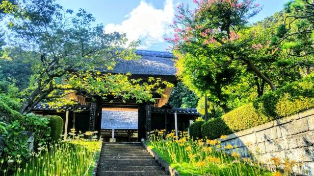 神奈川県の絶景 西方寺の彼岸花