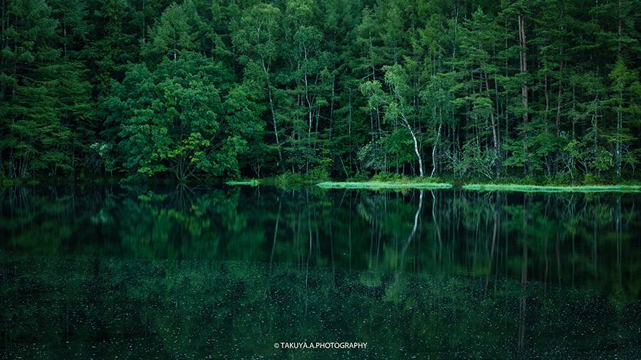 長野県の絶景 御射鹿池の深緑
