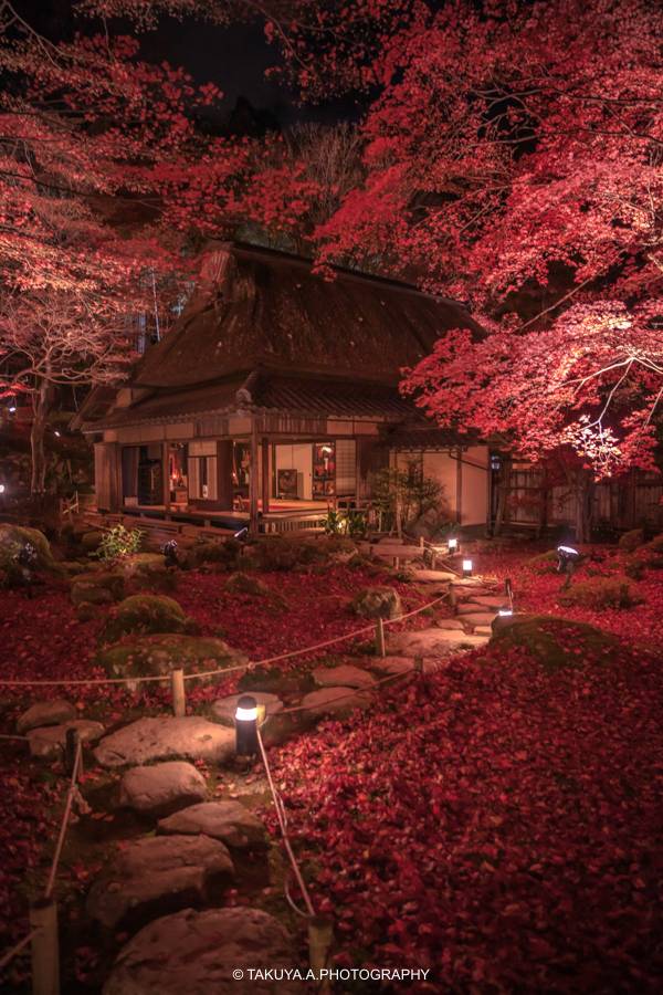 滋賀県の絶景 教林坊の紅葉絶景