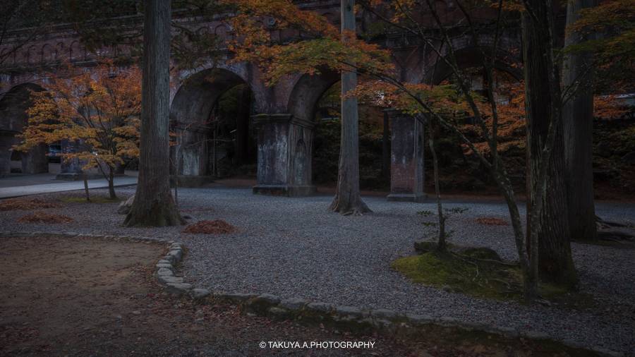 京都府の絶景 水路閣の紅葉