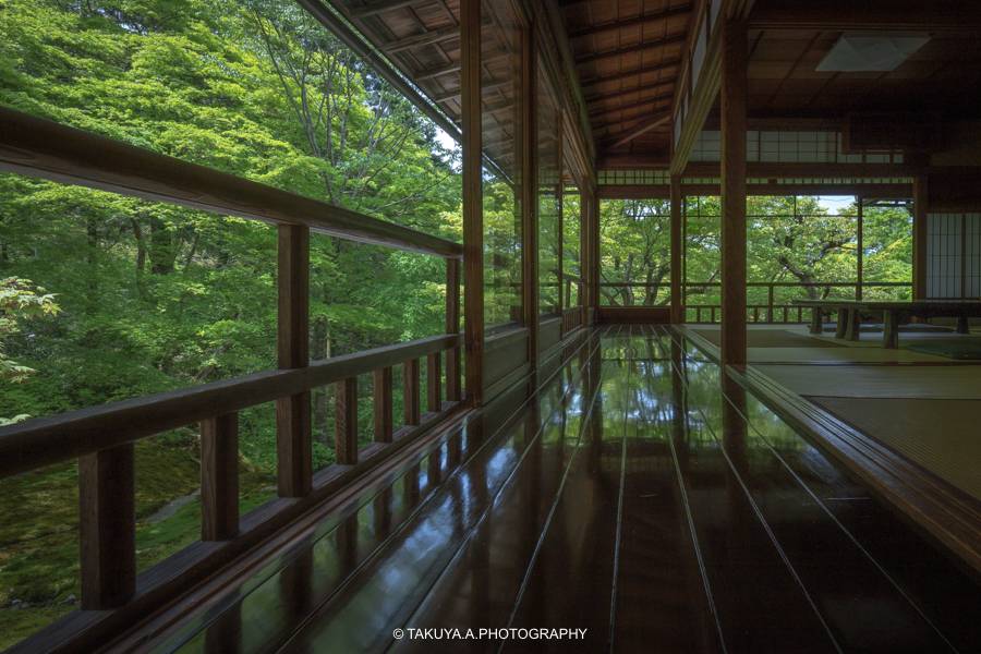 京都府の絶景 瑠璃光院の新緑