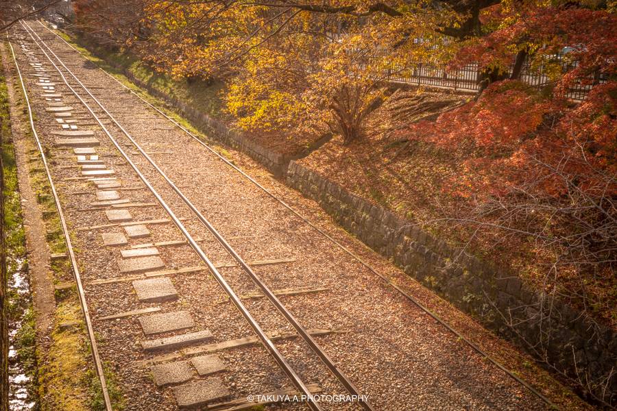京都府の絶景 蹴上インクラインの紅葉
