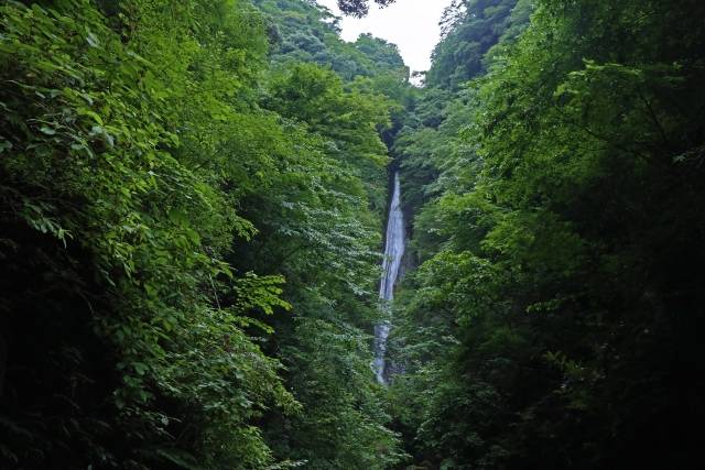 神奈川県の絶景 洒水の滝