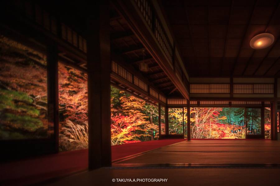 京都府の絶景 天授庵の紅葉ライトアップ