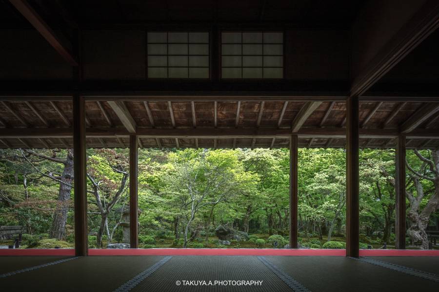 京都府の絶景 圓光寺の新緑