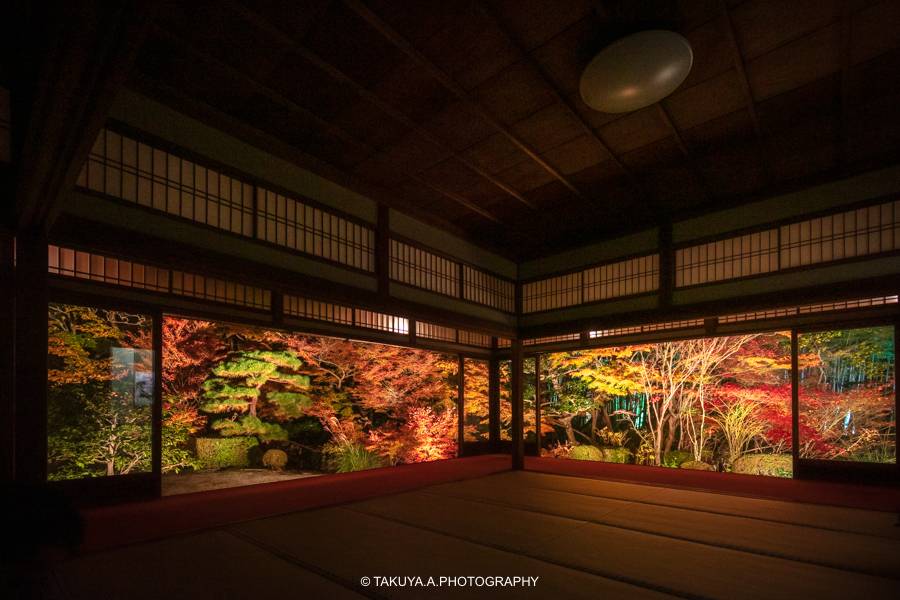 京都府の絶景 天授庵の紅葉ライトアップ