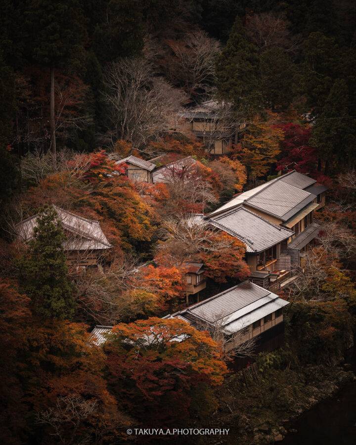 京都府の絶景 嵐山公園亀山地区展望台の紅葉
