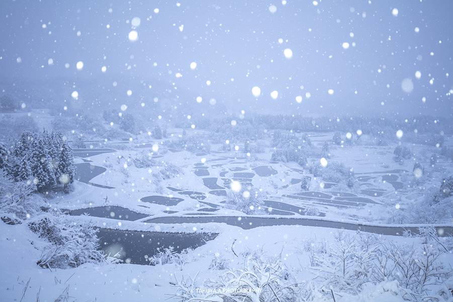 新潟県の絶景 星峠の棚田の雪景色