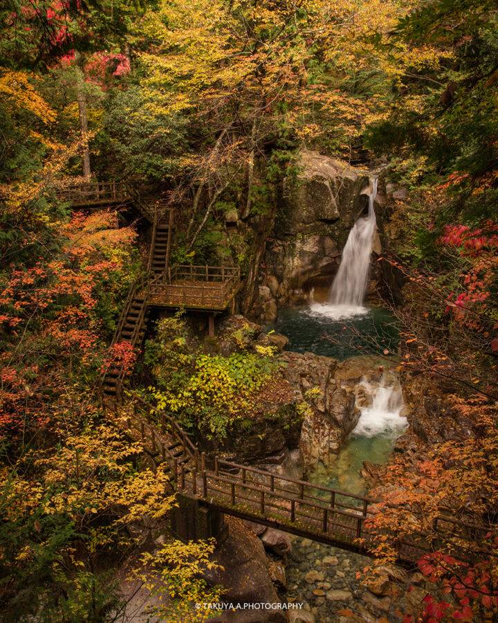 岐阜県の絶景 夕森公園 竜神の滝 紅葉