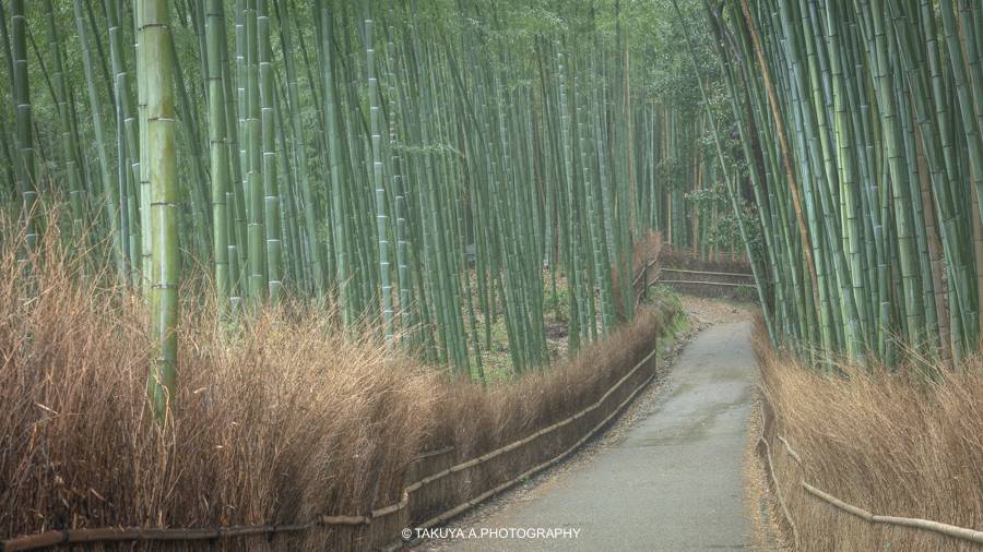 京都府の絶景 竹林の小径