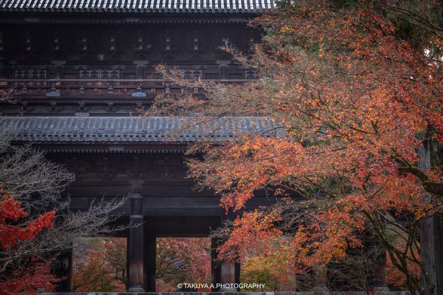 京都府の絶景 南禅寺の紅葉