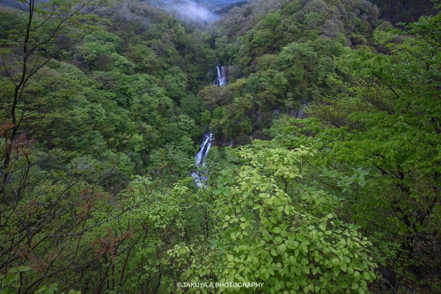 栃木県の絶景 霧降の滝 新緑