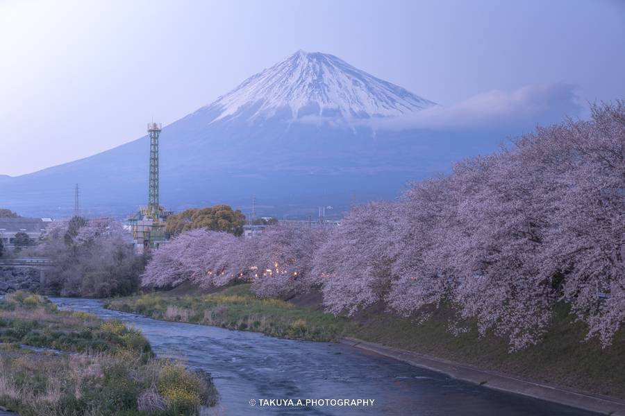 静岡県の絶景 龍巌淵の富士山と桜