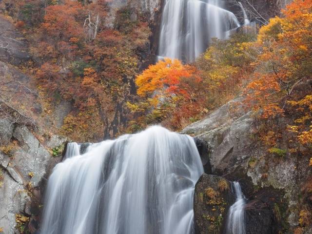 秋田県の絶景 安の滝