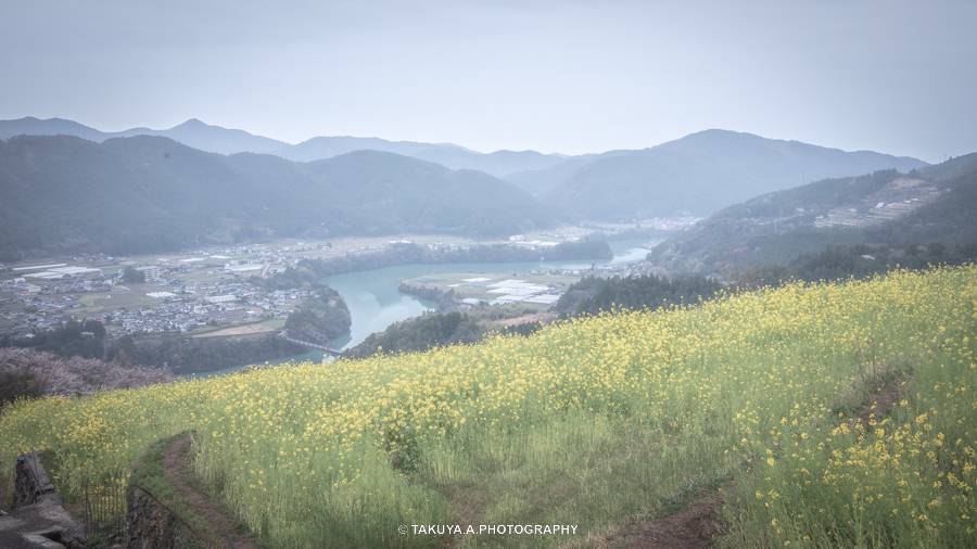 高知県の絶景 天空の菜の花畑の菜の花