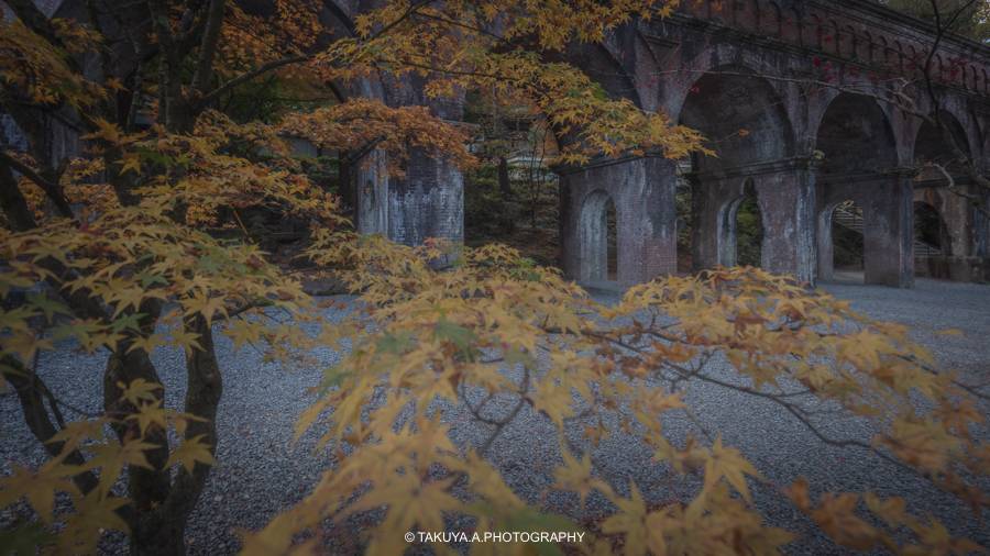 京都府の絶景 水路閣の紅葉