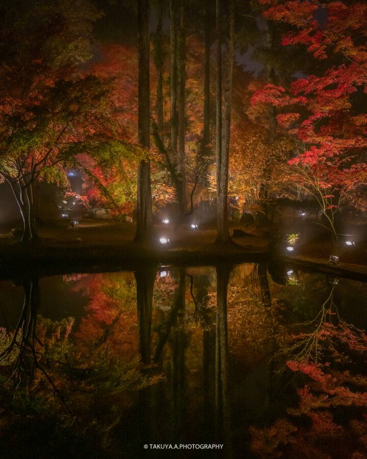 岐阜県の絶景 曽木公園の紅葉ライトアップ 撮影スポット4