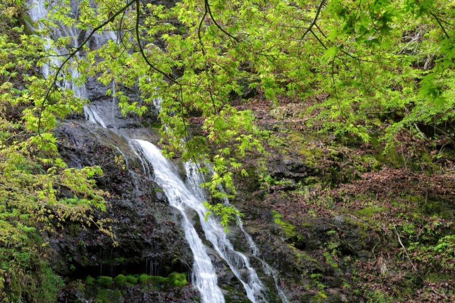 埼玉県の絶景 丸神の滝