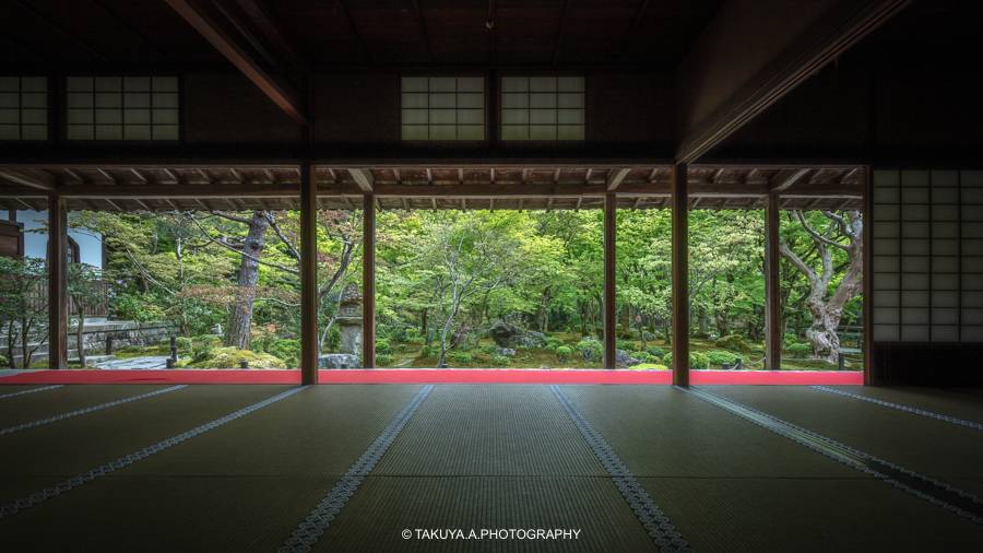 京都府の絶景 圓光寺の新緑