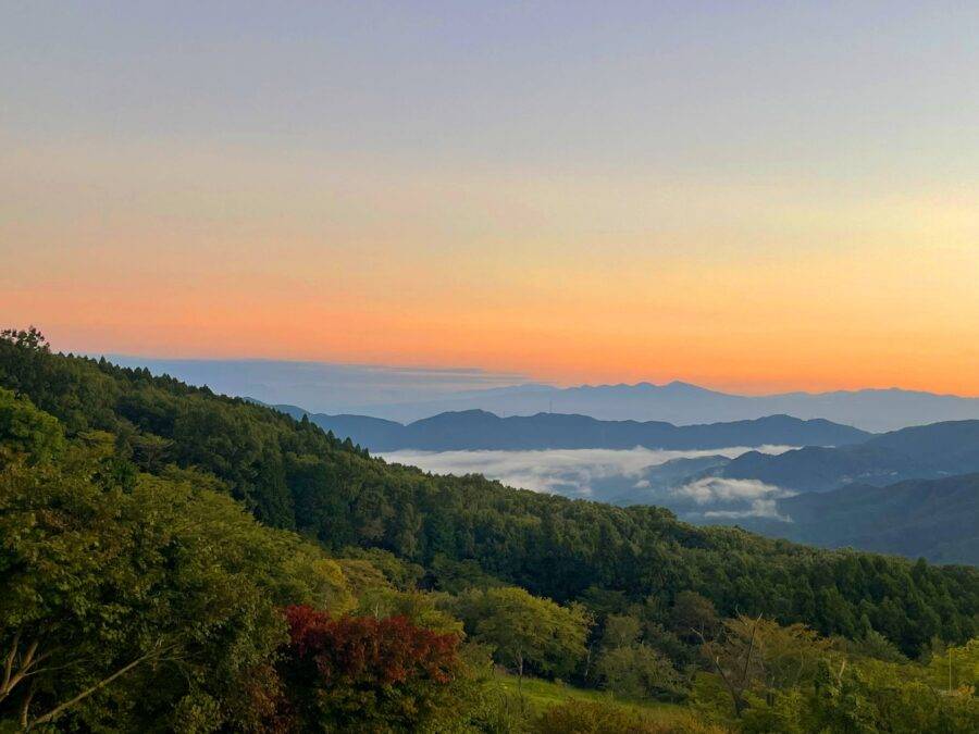 埼玉県の絶景 美の山公園の雲海