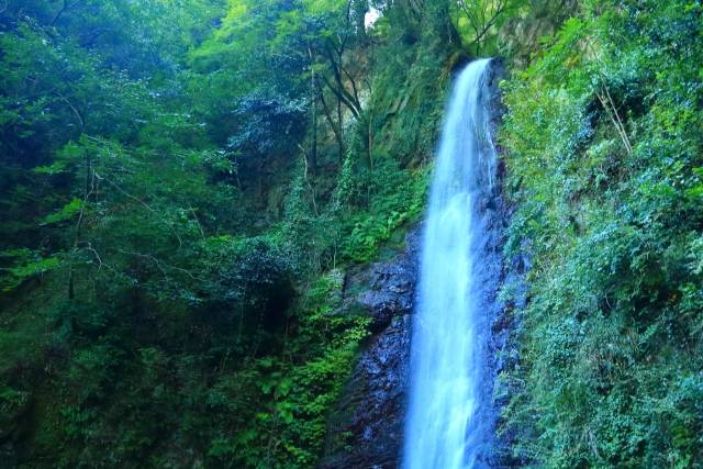 岐阜県の絶景 養老の滝