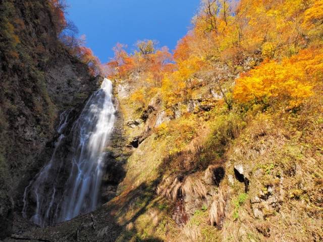 青森県の絶景 くろくまの滝