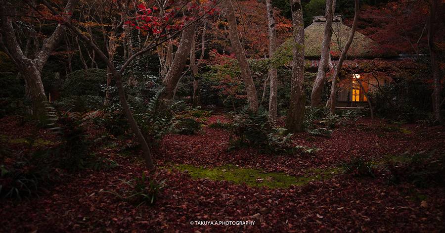 京都府の絶景 祇王寺の紅葉
