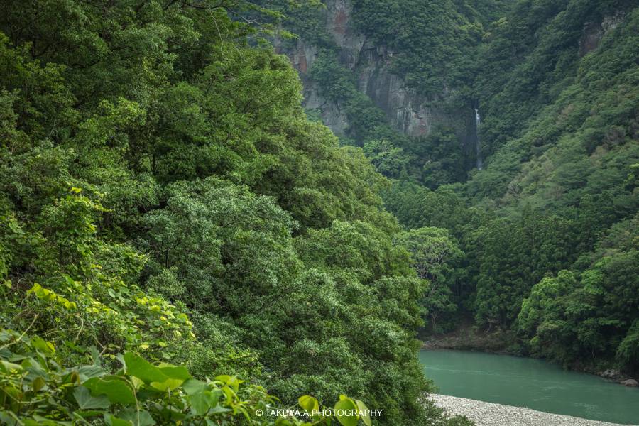 和歌山県の絶景 八草の滝の新緑